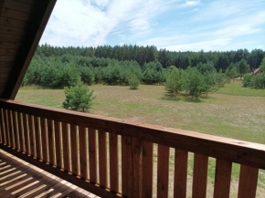 Sosnówka